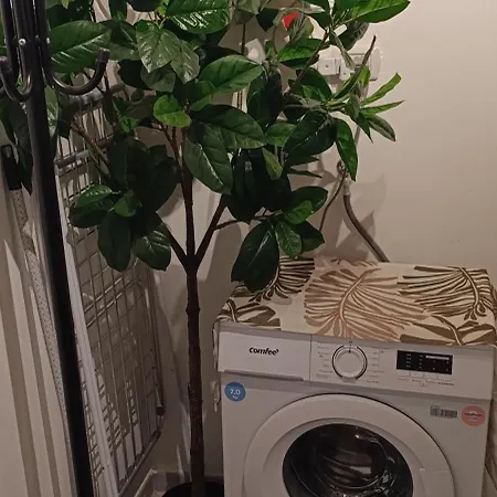 شقة Il Sogno Di Elisa -romantico Nel Centro Di